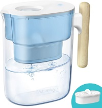 Water filter pitcher